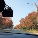 아침 햇살/참 좋은날 이미지