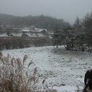 통나무 민박 이미지