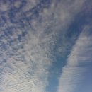 하늘그림 이미지