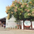 저장성(浙江省, 절강성) 사오싱(绍兴, 소흥) ; 안창구전(安昌古鎮, 안창고진) - 300 ~400 년 중국의...