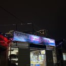 신선마을 공유센터 | 속초 아바이마을 맛집 | '속초 용일호' 포차 감성 야장 횟집 후기