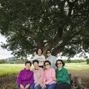 제주수월이 | 제주 가이드 투어 이용 후기 운전 걱정 없는 제주 여행