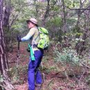 월매리(경북대부속학술림) | 월매봉(882m,청송),월매남봉,월매계곡,용암사원점회귀