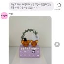 케잎크