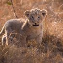 CIVIL PC cafe 이미지