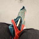 기흥역버스정류장_M | [용인 여행:에버랜드] 바오가족 보러 오픈런 간 썰