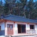 황토와소나무 이미지