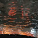 해뜨는 주유소 이미지