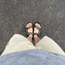 [동락점빵 이동장터 이야기] 7월 17일 운행기록 이미지