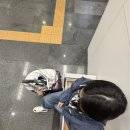 [공지] [치앙마이] 1일차_스팅하이브무에타이, mata마사지, 팟타이하롯, 왓치앙만, 쿤캐쥬스바, 도이...