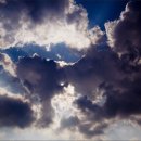 그해 여름 이미지