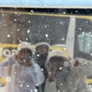 구난이약나무마을 | [삿포로] 인디고트래블 비에이 투어 후기 2 - 비에이마을/크리스마스나무/탁신관