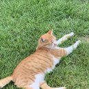 잠실역9번출구 이미지