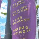 봄내 - 김해시 | 봄내