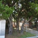 화진리 구진마을 앉은 줄다리기 이미지