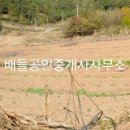 무안IC 이미지
