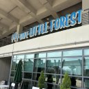 용인미르스타디움 이미지