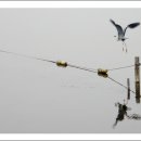 공원로-3 이미지