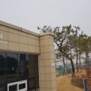 남산공원 시민회관 이미지