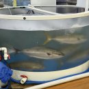 선산대로5-4 | 구미 포장 맛집 | 신선함이 남다른 남경수산 지산본점! 회포장부터 매운탕까지 완벽 후기