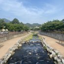 담쟁이 부동산 앞 | 구미 부동산 송정동 아파트 임장 후기(구미역)