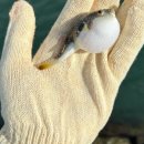 해간도캠핑장 이미지