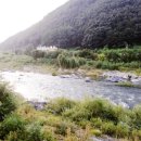 영동반디펜션 이미지