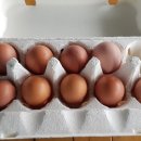 무량농장 이미지