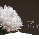 김병원법무사
