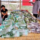 내현권역추진위 영농조합 이미지