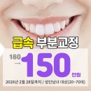 태미안 치과의원 | 중랑구 치과추천 치아교정 앞니를 빠르게 마무리하려면
