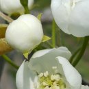 금월농장 이미지