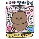 강구막회 | [공지] 2024년 상반기 맛집 추천 💗