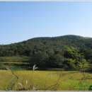 중말농장 이미지