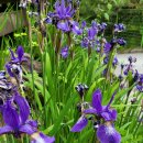 보라보라펜션 이미지