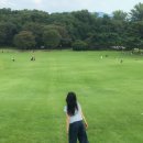 의식의 흐름 이미지