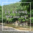 문천리 화장실 | 공주 무두리계곡 평상 대여 가능(2026년 6월 기준) 내돈내산 후기