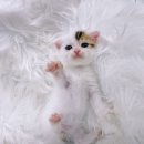 박달2동-1 이미지