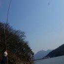 송악 낚시터 Daum카페