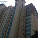 강남-126 이미지