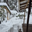 누리마루펜션 | [강릉 대관령 숙소 추천] 누리마루펜션 강릉 복층 독채 조용한 숙소