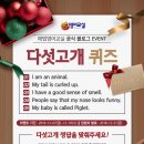 해법영어 이미지