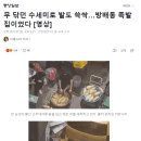 보배족발 이미지