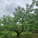 대승농장 이미지