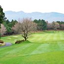 GS25제주테디밸리CC점 | 접근성 좋은 제주도 골프장 요즘 뜨는 제주 한라산cc 예약 후기