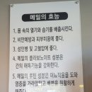 초지대교맛집 장원막국수에서 맛있는 점심먹고왔어요