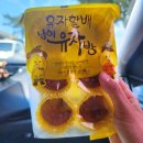 백년유자 1호점 : 남해유자빵, 유자몽청 내돈내산 후기 (남해기념품, 선물)