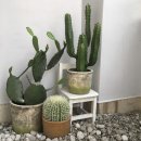 스튜디오이뎀 이미지