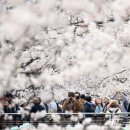 진해구 ⓒ-1 이미지