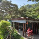 송림농원 | 충주가볼만한곳, 공작새, 토끼, 먹이주기체험학습 송림농원펜션 이용후기